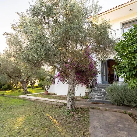 Skafidia Garden Gem - Mirtia Fully Equipped بيت للعطل