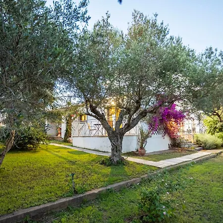 Skafidia Garden Gem - Mirtia Fully Equipped Semesterbostad Agios Ilias (Elis)
