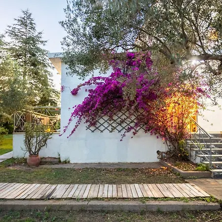 Skafidia Garden Gem - Mirtia Fully Equipped بيت للعطل *